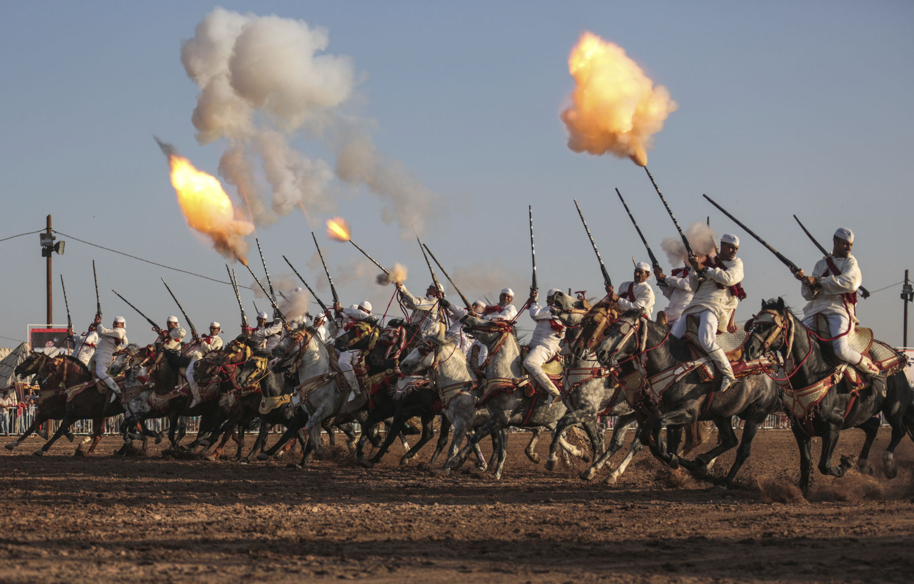 Morocco equine tradition